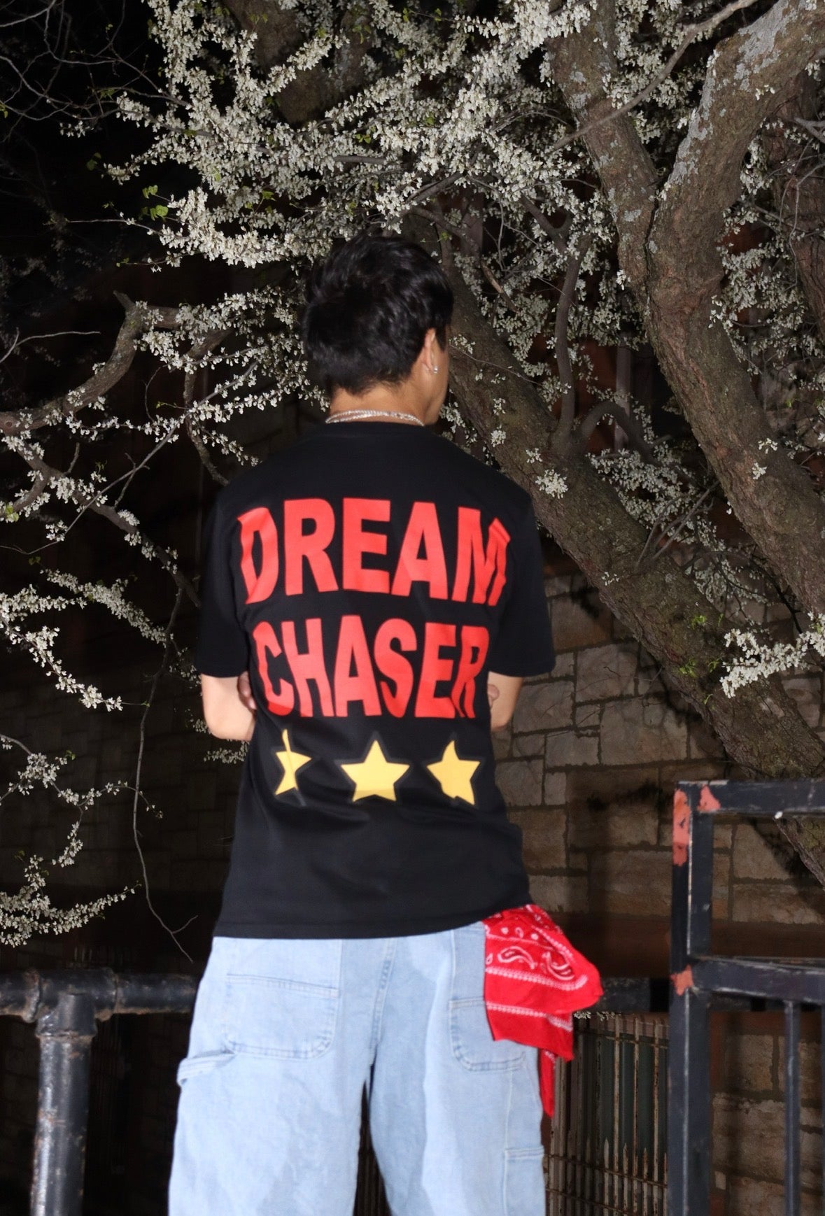 ALONECO Dream Chaser Tee